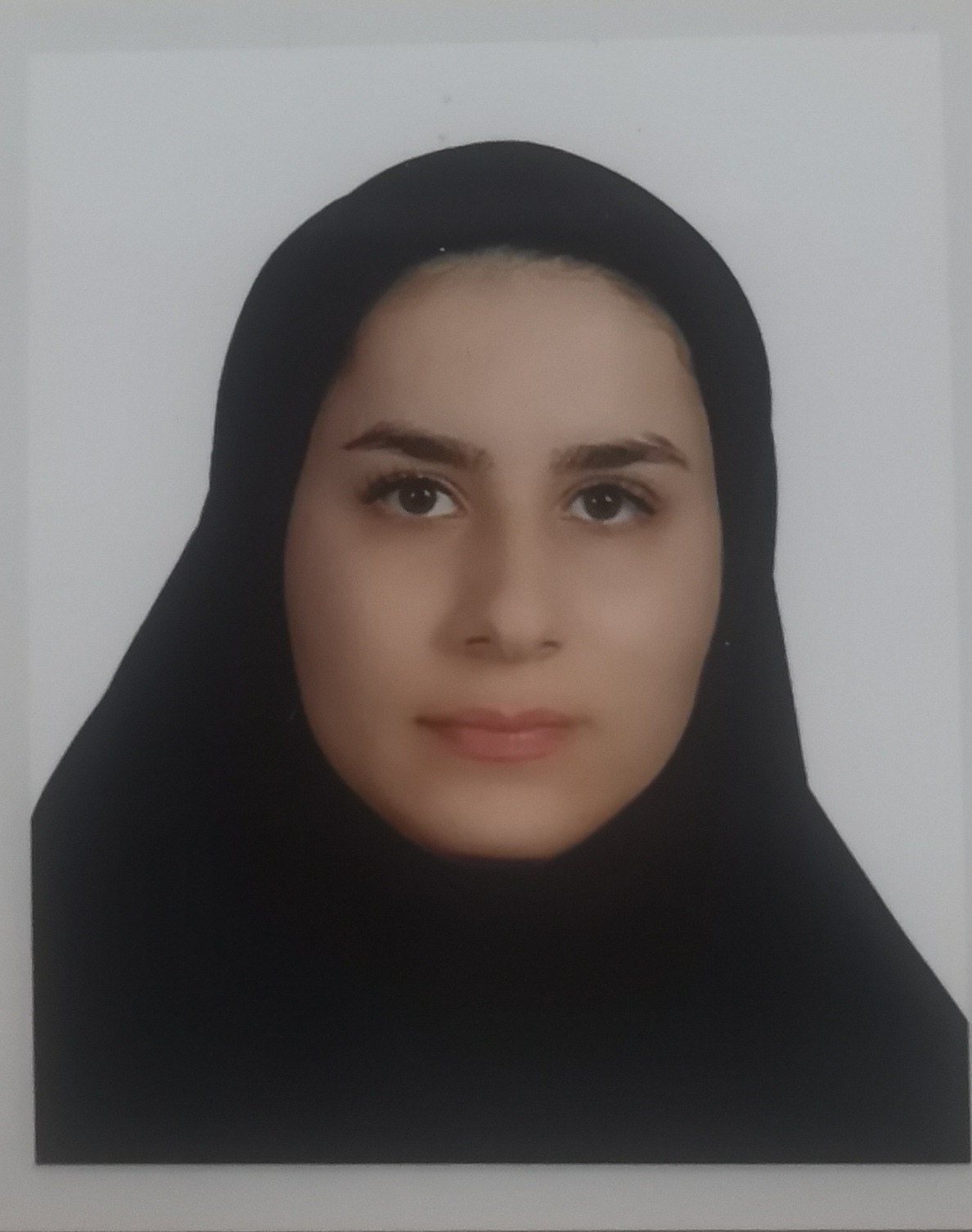 شقایق خاکستری