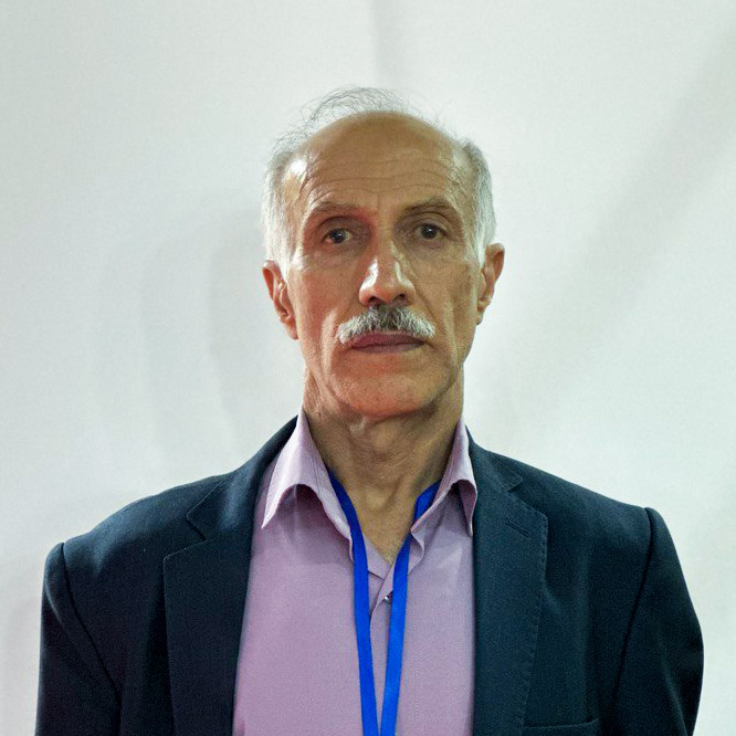محمد رزمجویی