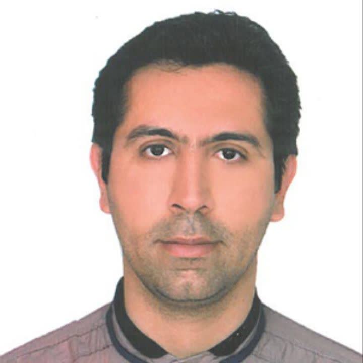 مهدی افشار صفوی